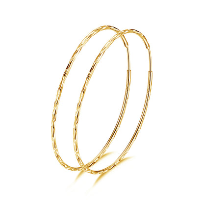 Circle Endless Hoop Earrings